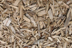 biomass boilers Camoquhill